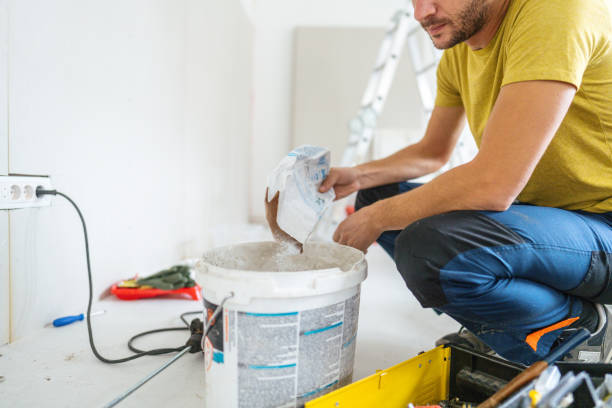 Best Real Estate Mold Inspection  in Orleans, VT