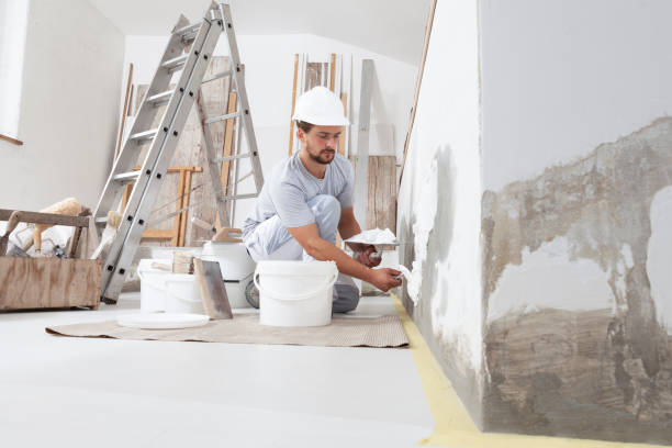 Mold Documentation for Insurance Claims in Orleans, VT