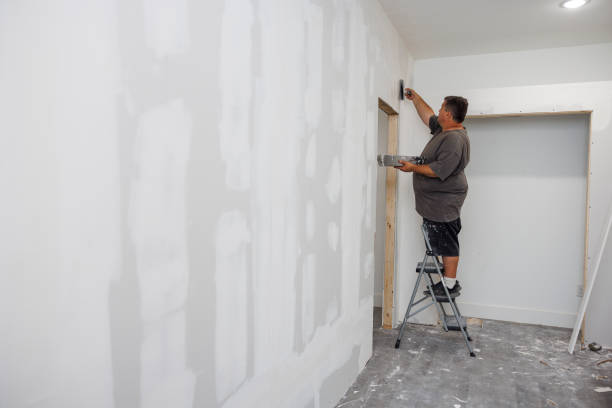 Best Water Damage & Mold Remediation  in Orleans, VT