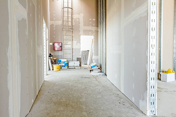 Best Black Mold Removal  in Orleans, VT