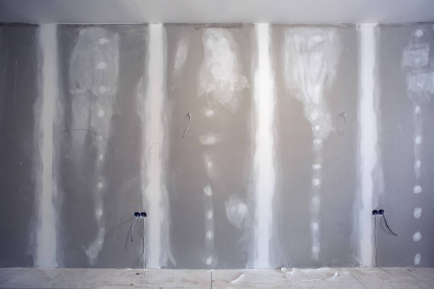 Best Mold Damage Restoration  in Orleans, VT